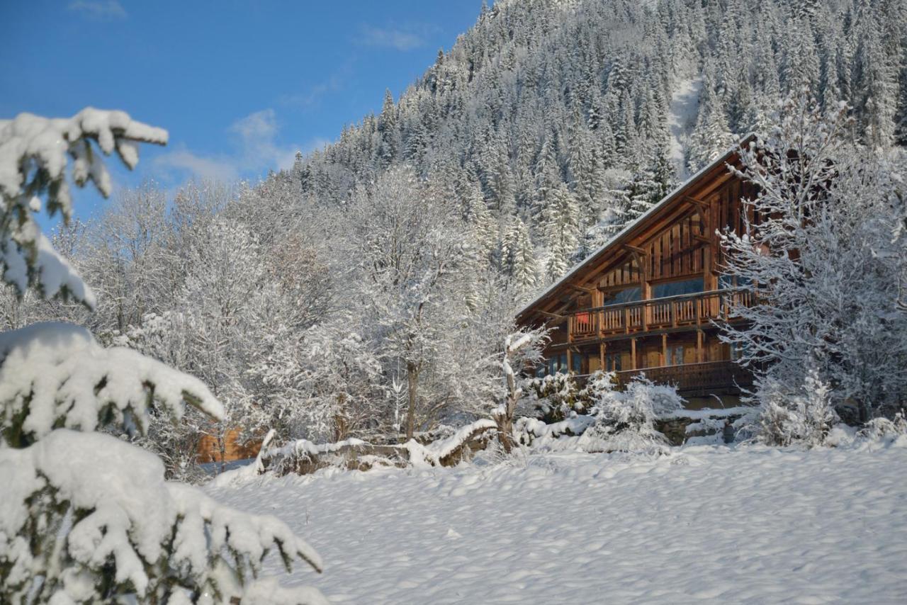 Chalet Cannelle Chatel Ngoại thất bức ảnh